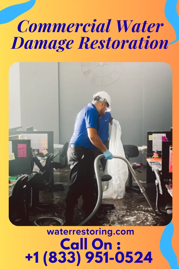 Commercial Water Damage Restoration in Wildrose, ND