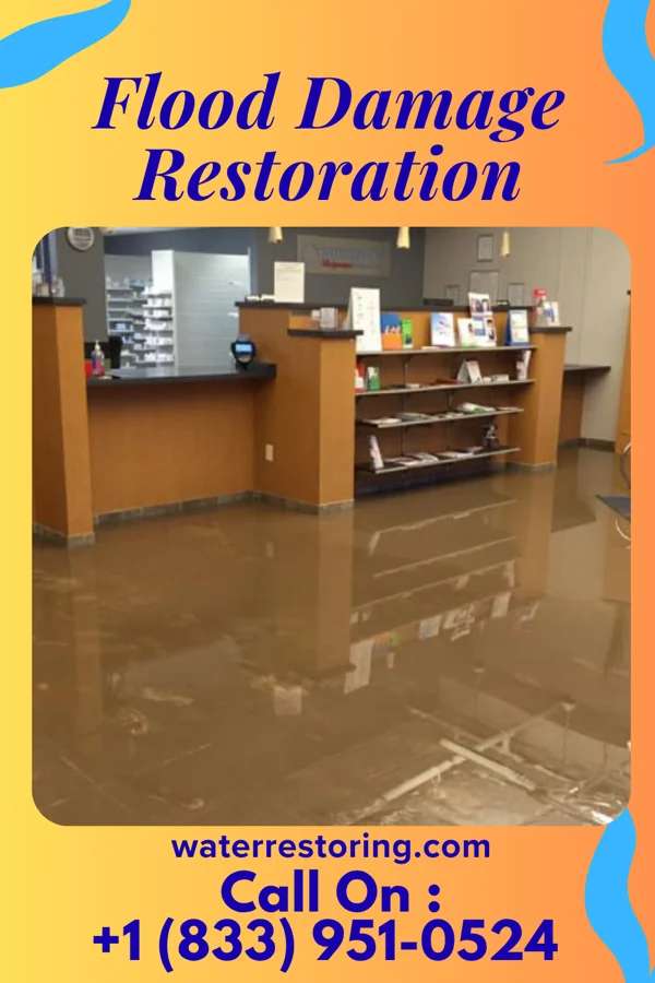 Flood Damage Restoration in Wildrose, ND