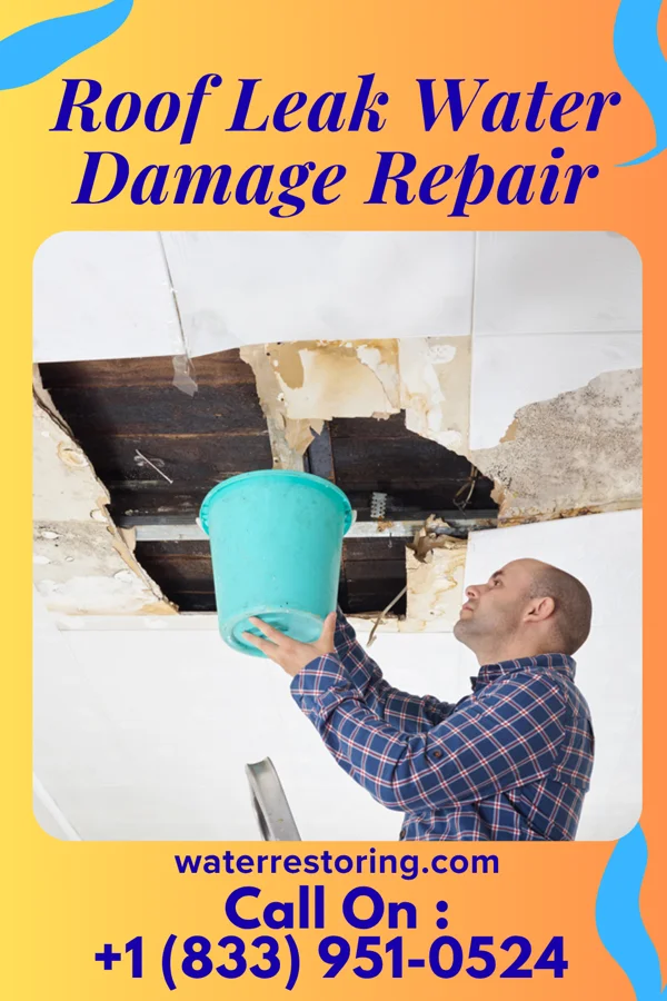 Roof Leak Water Damage Repair in Wildrose, ND