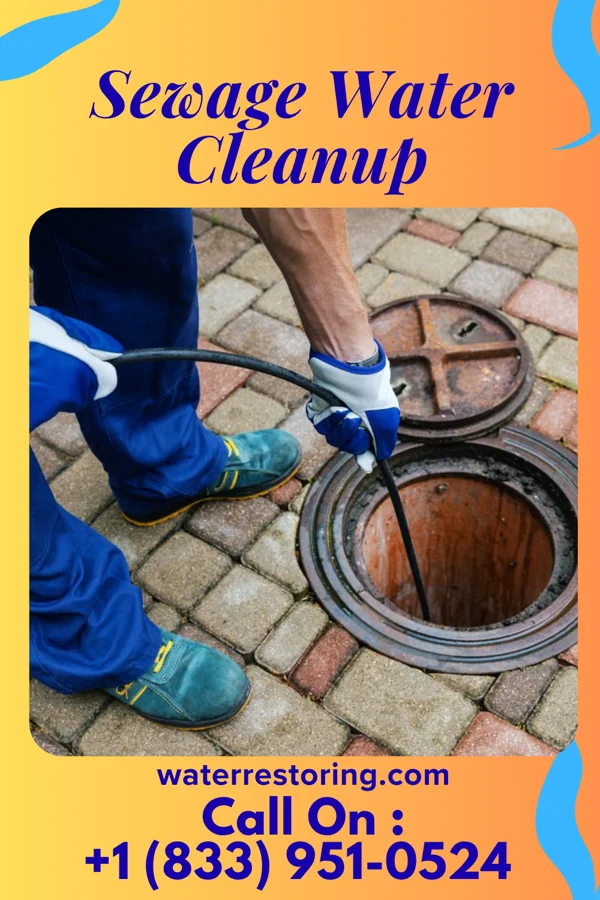 Sewage Water Cleanup in Wildrose, ND